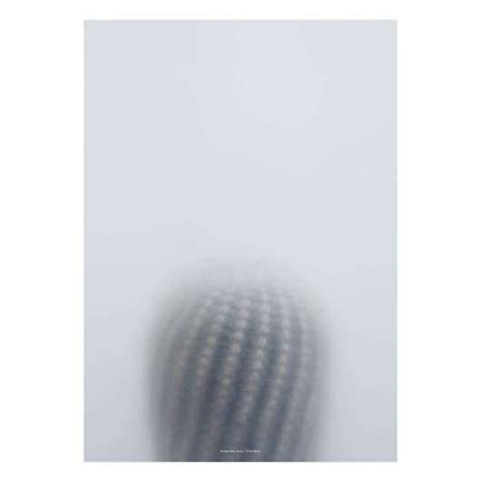 Botanic Poster Ball Cactus