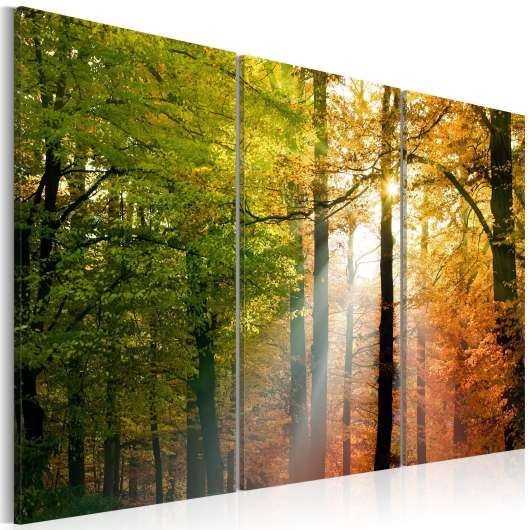 Canvas Tavla - A calm autumn forest - 120x80