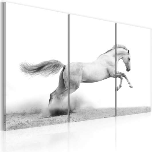 Canvas Tavla - A galloping horse - 120x80