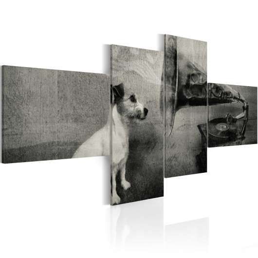 Canvas Tavla - A gramophone and a dog - 100x45