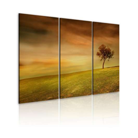 Canvas Tavla - A lonely tree on a meadow - 120x80