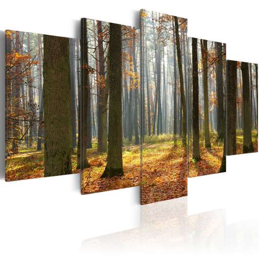Canvas Tavla - A nice forest landscape - 200x100