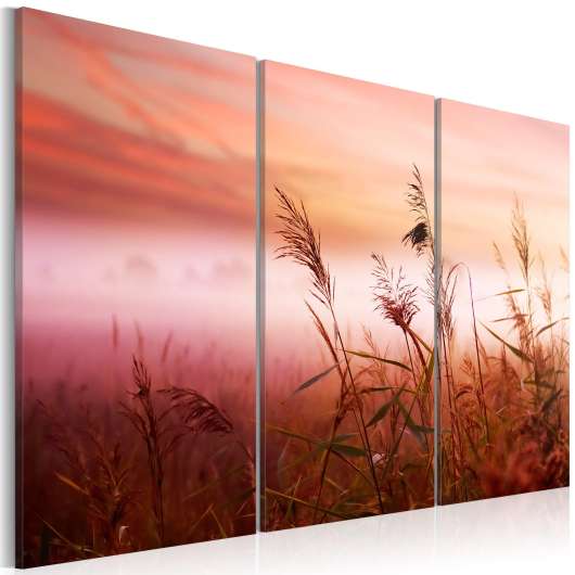Canvas Tavla - A silent meadow - 60x40