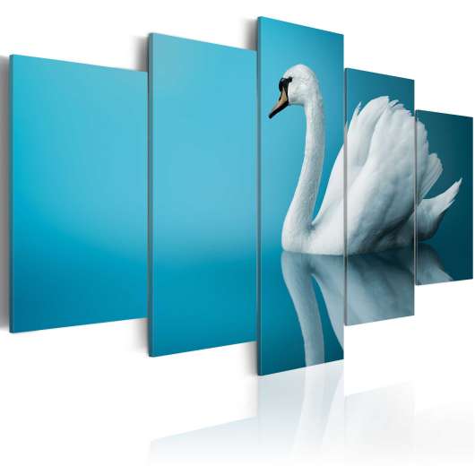 Canvas Tavla - A swan in blue - 200x100