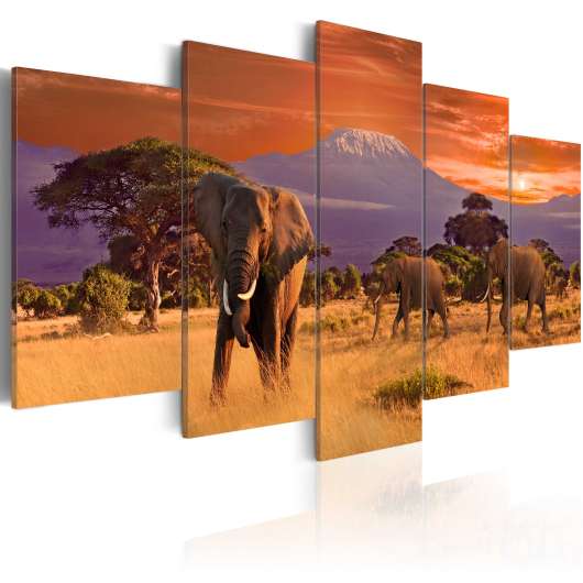 Canvas Tavla - Africa: Elephants - 200x100