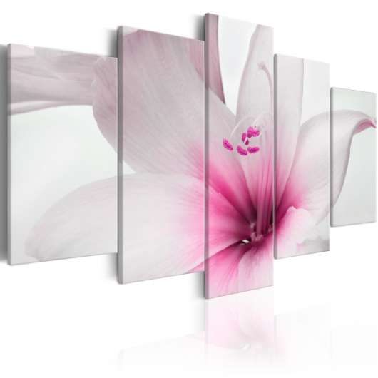 Canvas Tavla - Amarylis: Pink Charm - 200x100