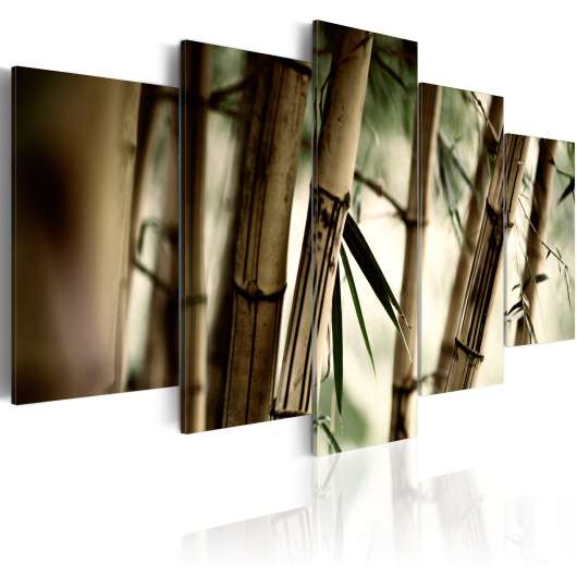 Canvas Tavla - Asian bamboo forest - 100x50