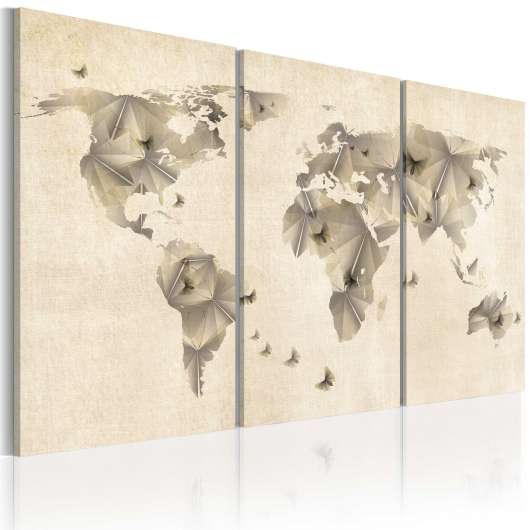 Canvas Tavla - Atlas of fjärilar - triptych - 90x60