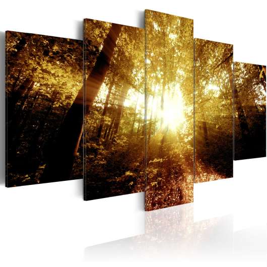 Canvas Tavla - Autumn Forest - 100x50