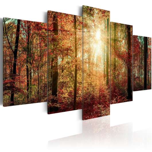 Canvas Tavla - Autumn Wilderness - 200x100