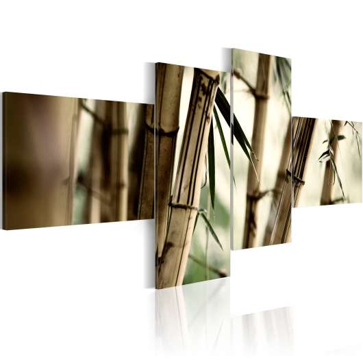 Canvas Tavla - Bamboo inspiration - 200x90