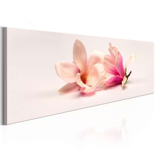 Canvas Tavla - Beautiful Magnolias - 135x45