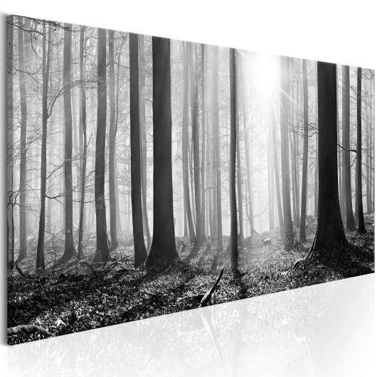 Canvas Tavla - Black and White Forest - 150x50