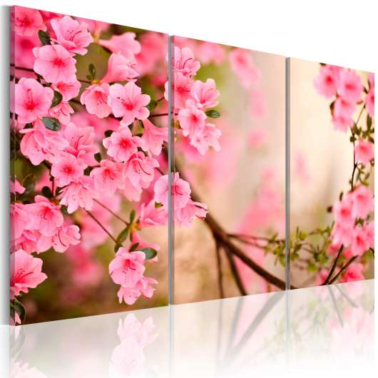 Canvas Tavla - Cherry flower - 120x80