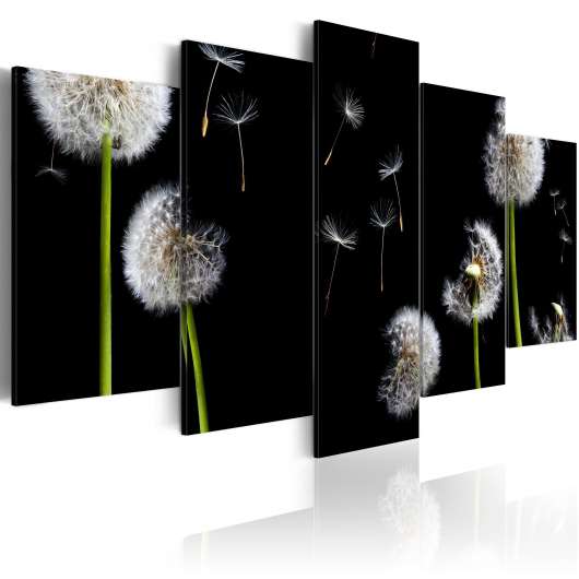 Canvas Tavla - Dandelion- towards freedom - 200x100