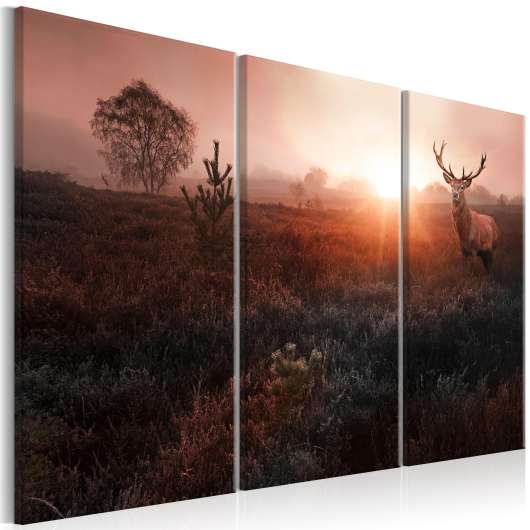 Canvas Tavla - Deer in the Sunshine I - 120x80