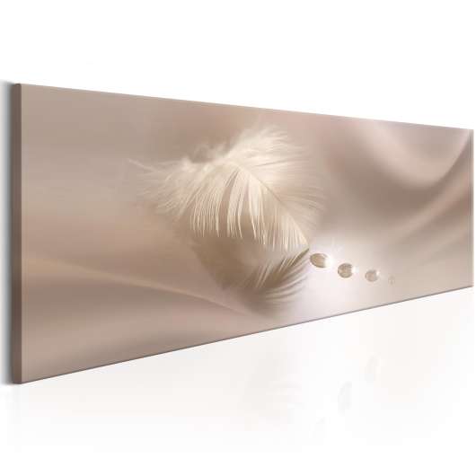 Canvas Tavla - Delicate Feather - 120x40