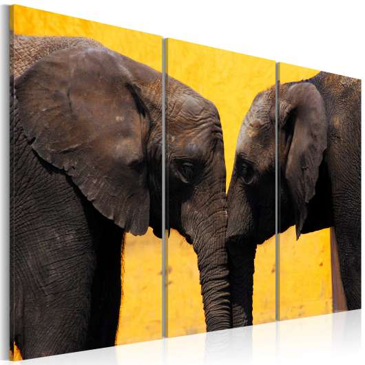 Canvas Tavla - Elephant kiss - 120x80