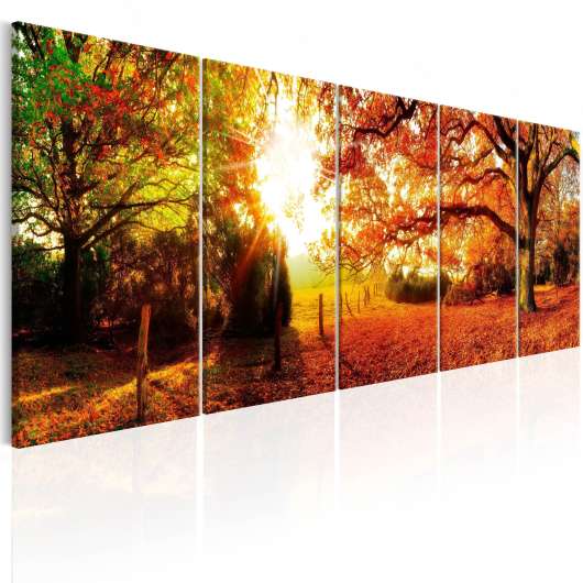 Canvas Tavla - Enchanting Autumn - 225x90