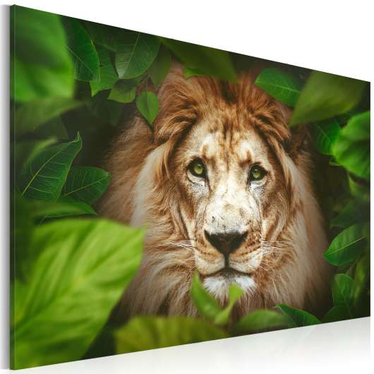 Canvas Tavla - Eyes of the jungle - 120x80