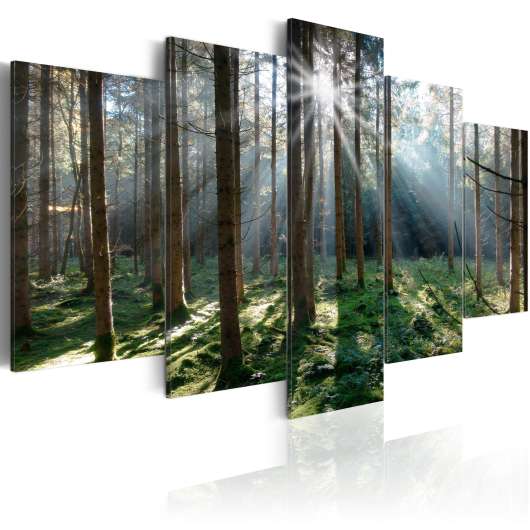 Canvas Tavla - Fairytale Forest - 100x50