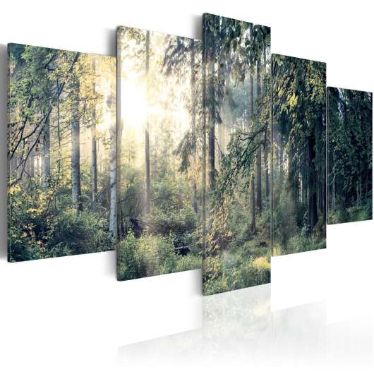 Canvas Tavla - Fairytale Landscape - 100x50