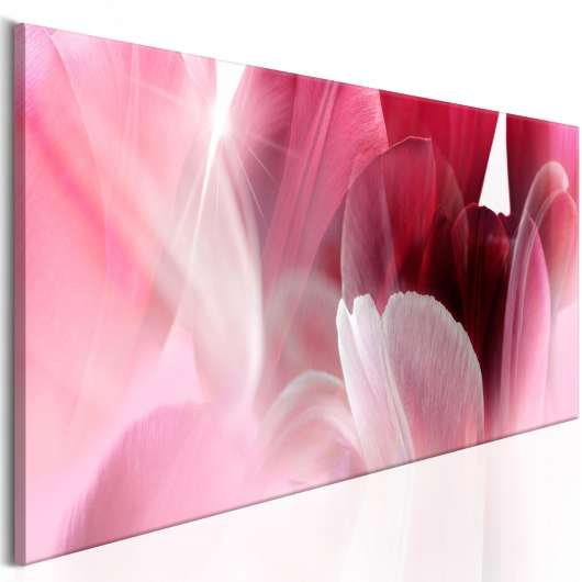Canvas Tavla - Flowers: Pink Tulips - 150x50