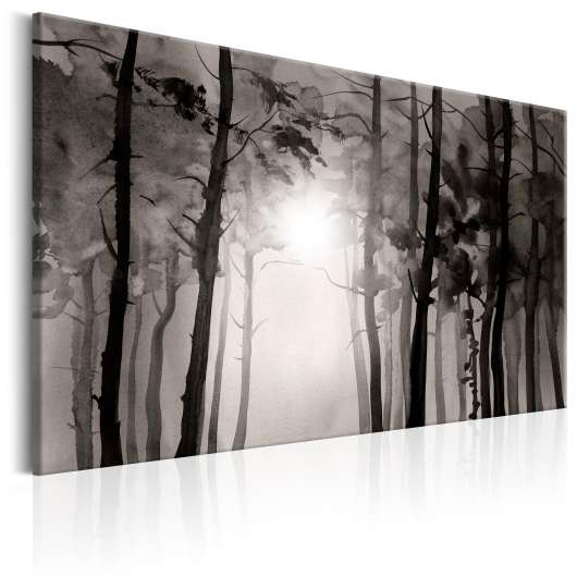Canvas Tavla - Foggy Forest - 120x80