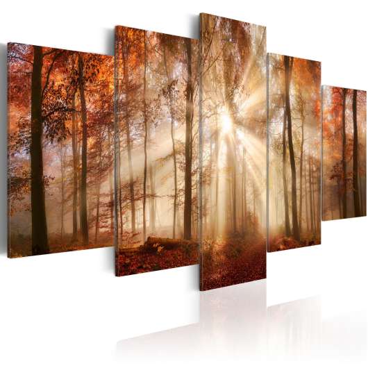 Canvas Tavla - Forest Fog - 100x50