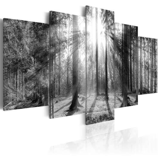 Canvas Tavla - Forest of Memories - 200x100