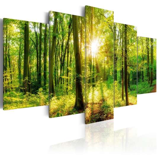 Canvas Tavla - Forest Tale - 100x50