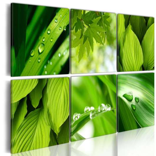 Canvas Tavla - Fresh green leaves - 120x80