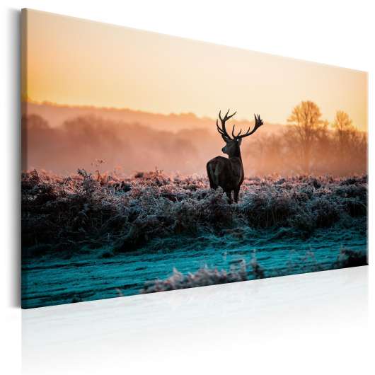 Canvas Tavla - Frosted Field - 120x80