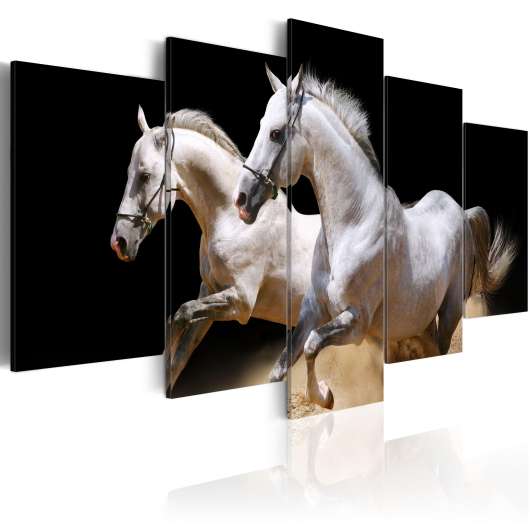 Canvas Tavla - Gallop- freedom and power - 200x100
