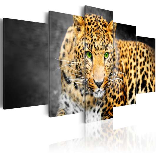 Canvas Tavla - Green-eyed leopard - 200x100