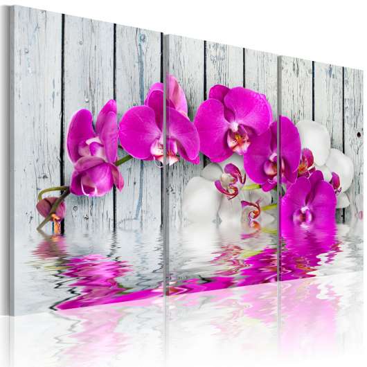 Canvas Tavla - harmony: orchid - Triptych - 120x80