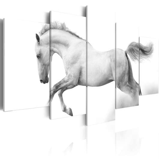 Canvas Tavla - Horse- passion and freedom - 200x100