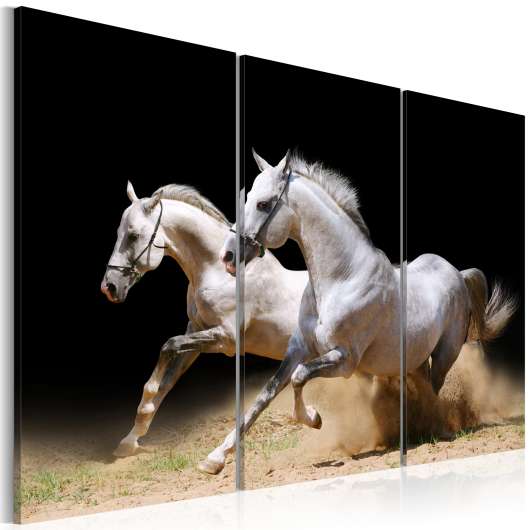Canvas Tavla - Horses- power and velocity - 120x80