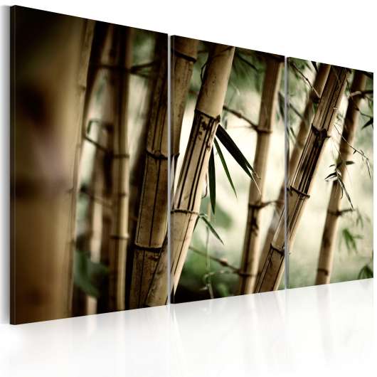 Canvas Tavla - In a tropical forest - 90x60