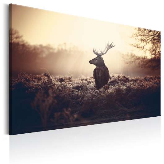 Canvas Tavla - Lurking Deer - 120x80