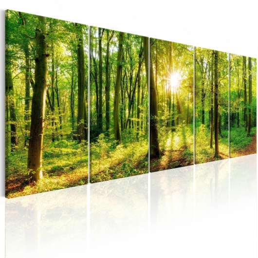 Canvas Tavla - Magic Forest - 200x80