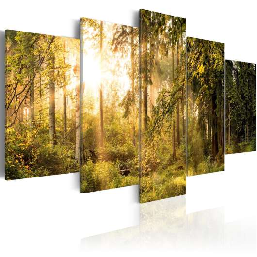 Canvas Tavla - Magic of Forest - 200x100