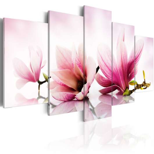 Canvas Tavla - Magnolias: pink flowers - 200x100