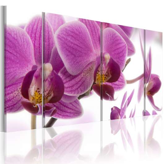 Canvas Tavla - Marvelous orchid - 120x60