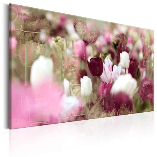 Canvas Tavla - Meadow of Tulips - 90x60