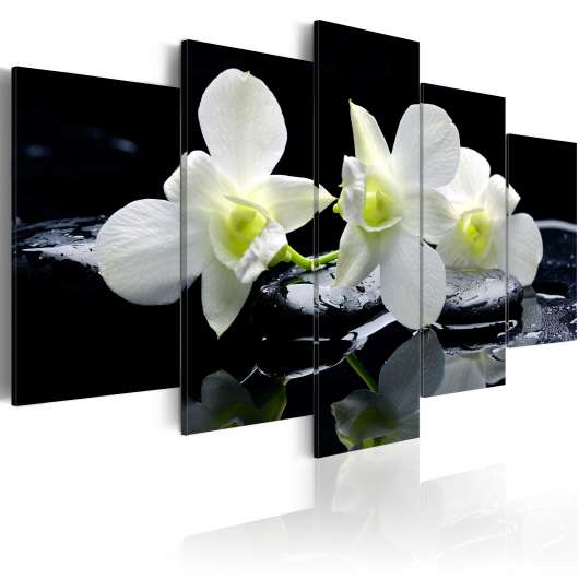 Canvas Tavla - Melancholic orchids - 200x100