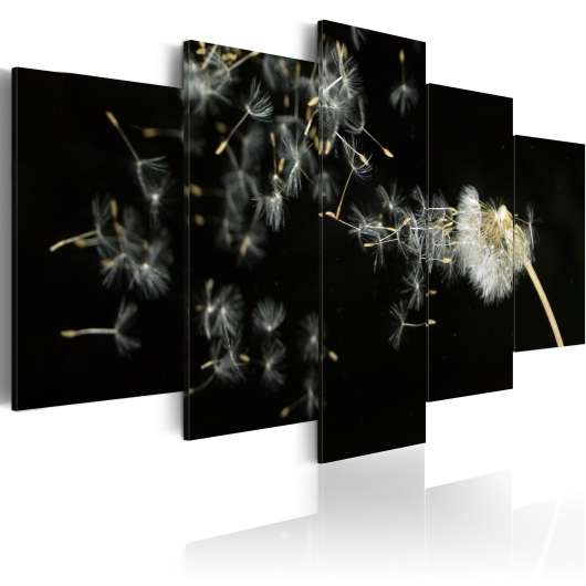 Canvas Tavla - Moments as ephemeral as dandelions - 200x100
