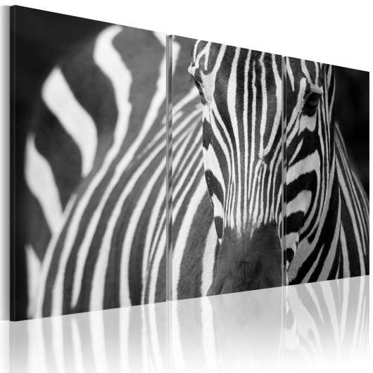 Canvas Tavla - Mrs Zebra - 120x80