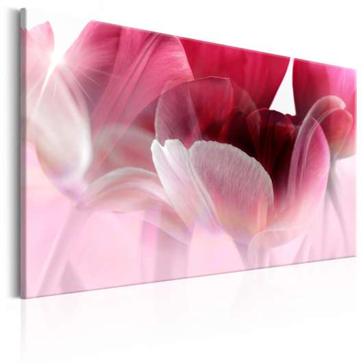 Canvas Tavla - Nature: Pink Tulips - 120x80