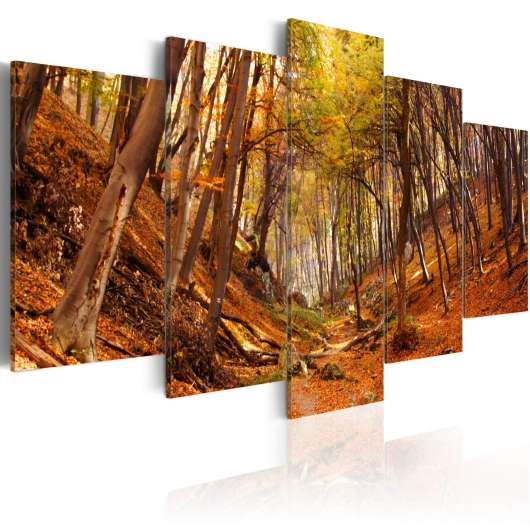 Canvas Tavla - Orange autumn - 100x50